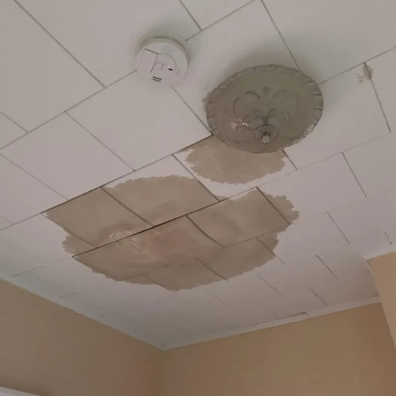 Ceiling Water Damage Repair in Churchville, NY